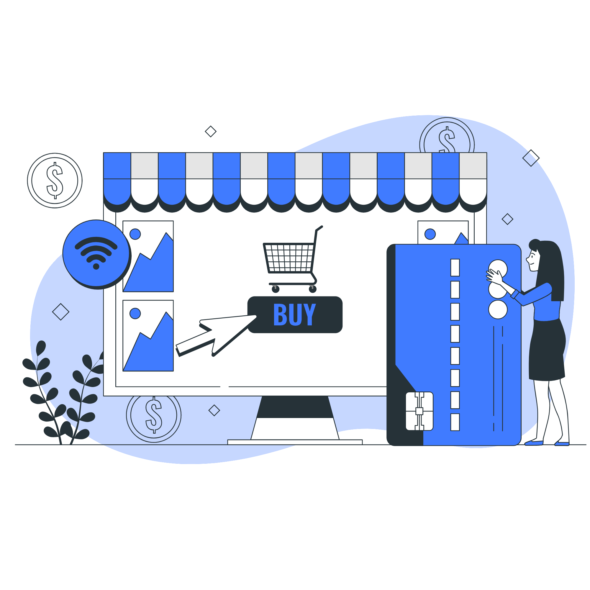 Custom E-Commerce Solution