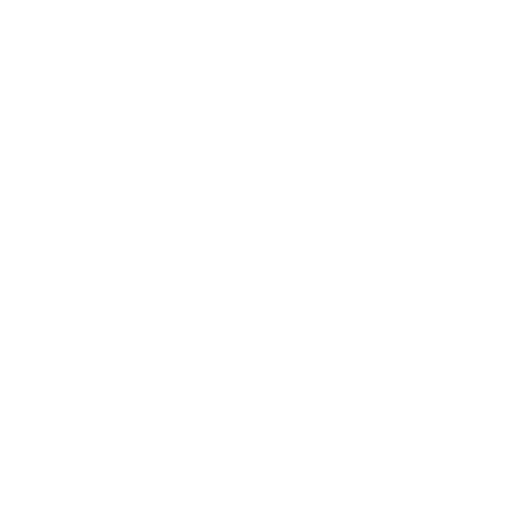 WordPress Development