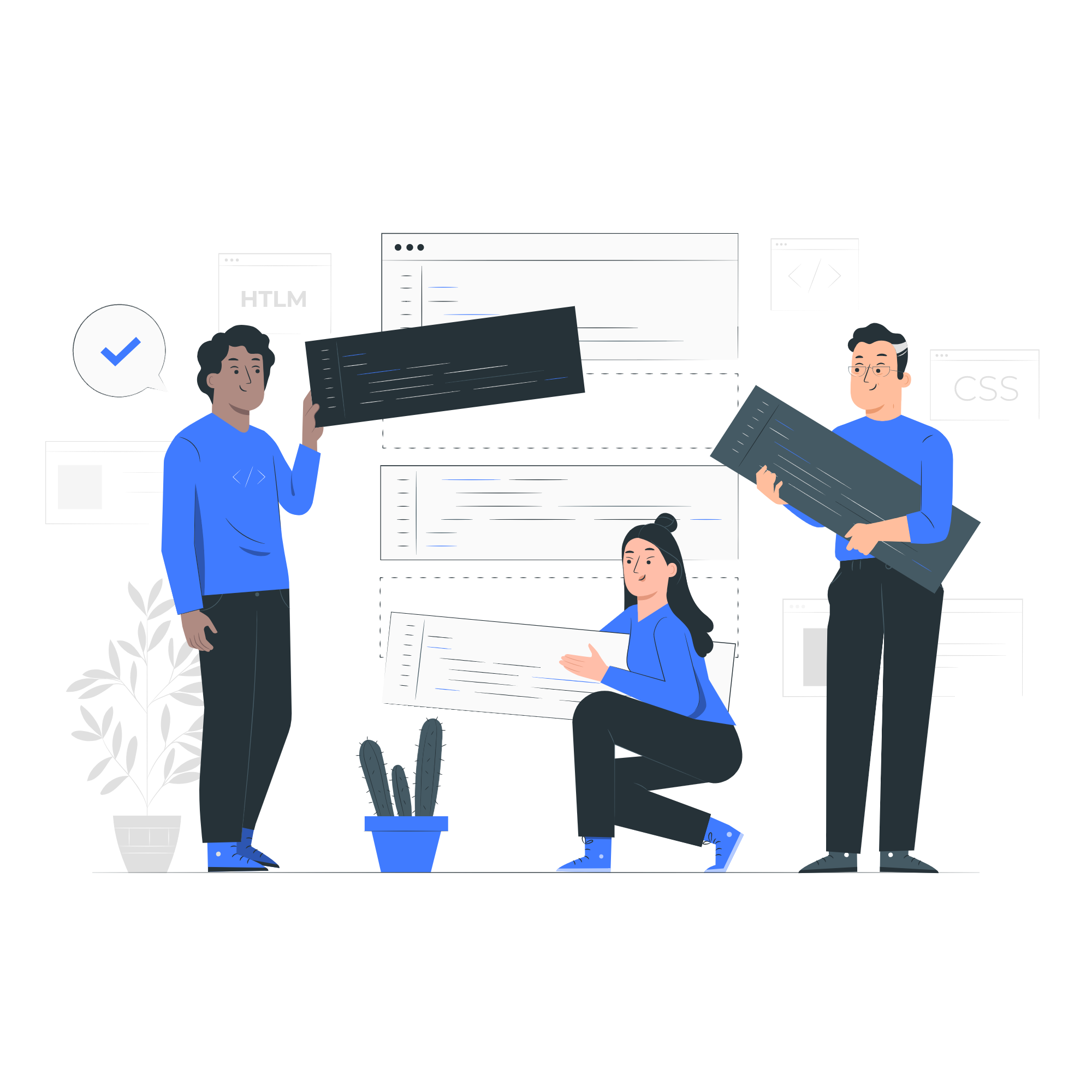 Custom Web Development Agency
