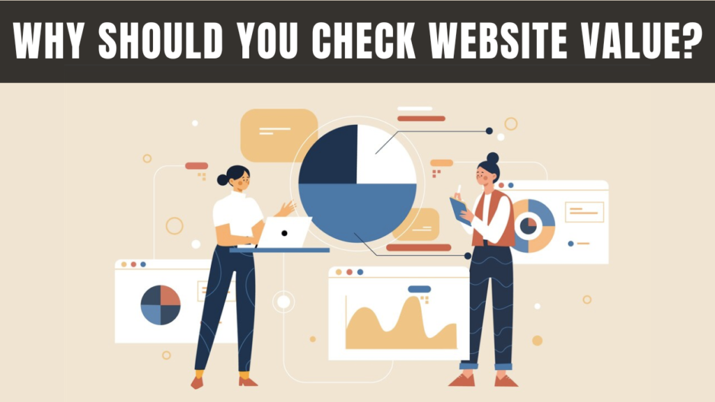 why check your website value